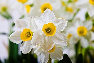 《皎月坠落之时》Steam页面上线 游戏发售日期待定